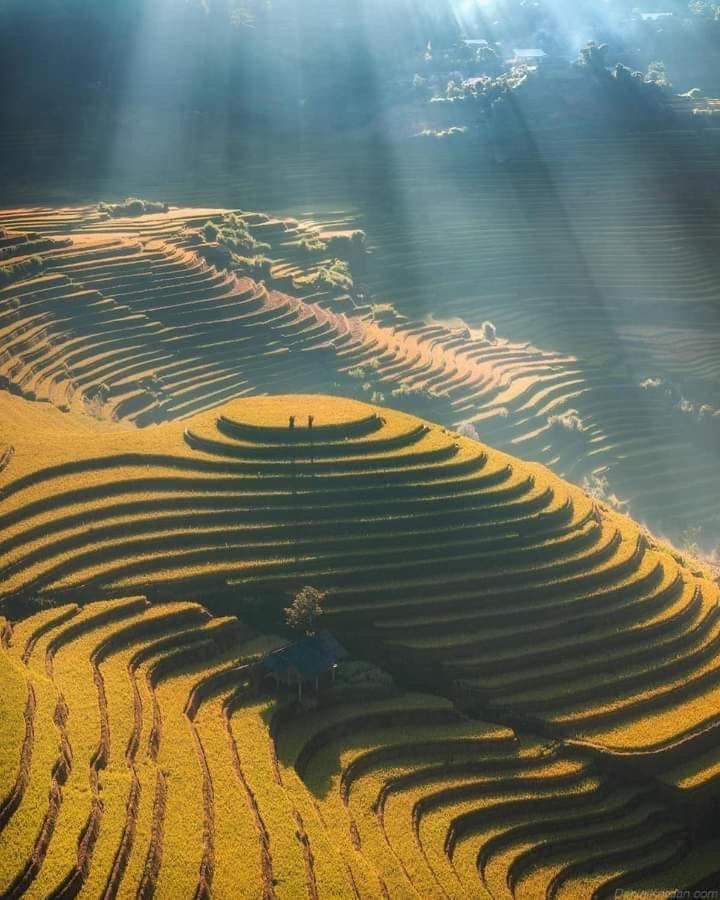 Homestay Hoa Thao - Bus ,Trek & Motorbike Mu Cang Chai Экстерьер фото